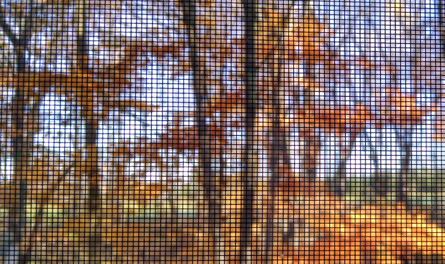 Dianne Kellogg, Fall Through the Screen, photograph, 2014