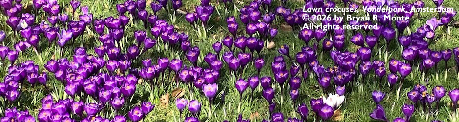 aq45_slider_lawncrocuses_slider3_2_940x250_text